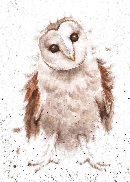 Card - ACS018 - Owl 