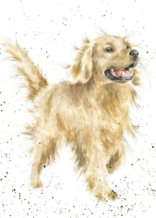 Card - ACS065 - Golden Retriever Dog 