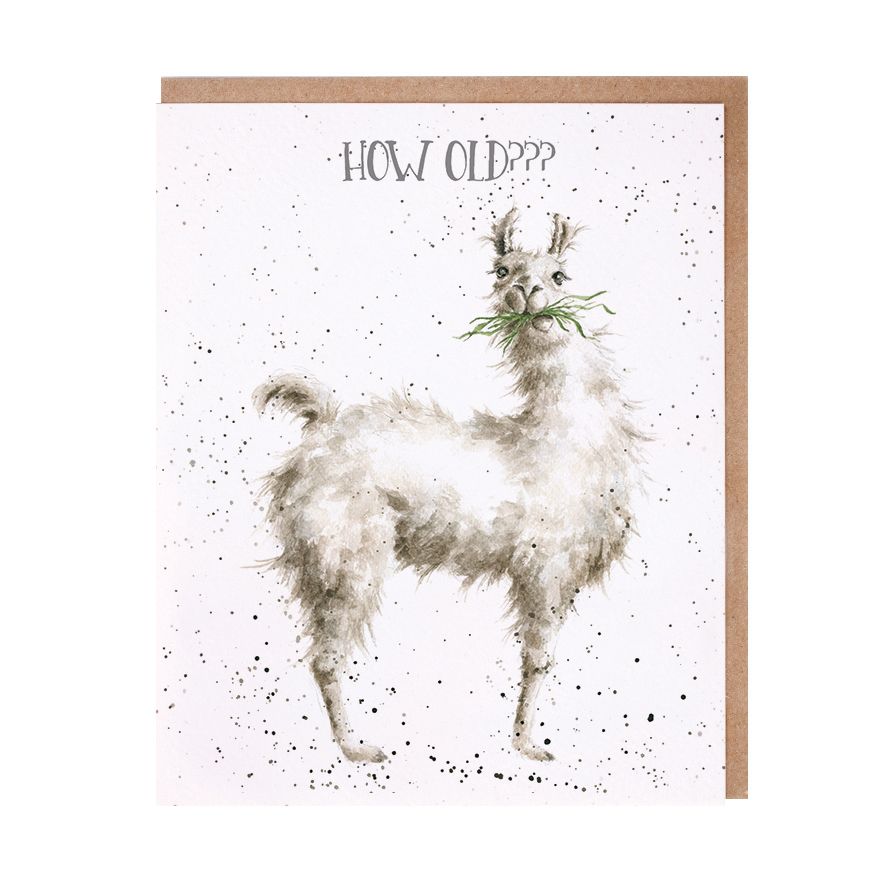 Card -  AOC129 - Birthday - How Old? Llama 