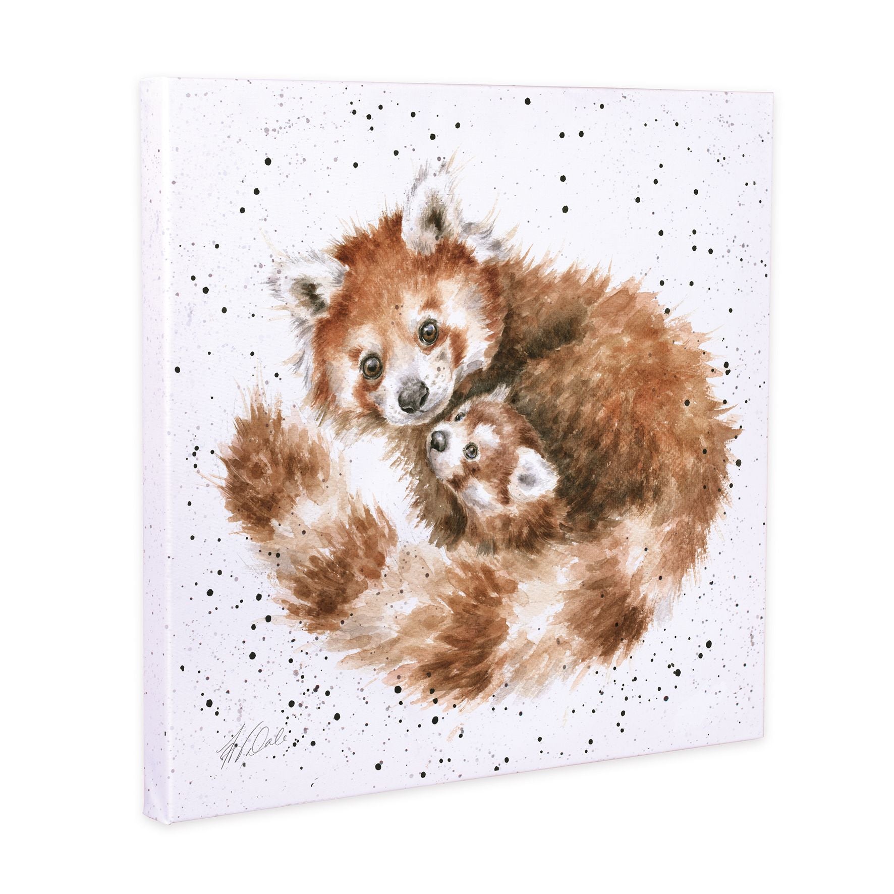 Wrendale Canvas Art Z038 Red Panda 