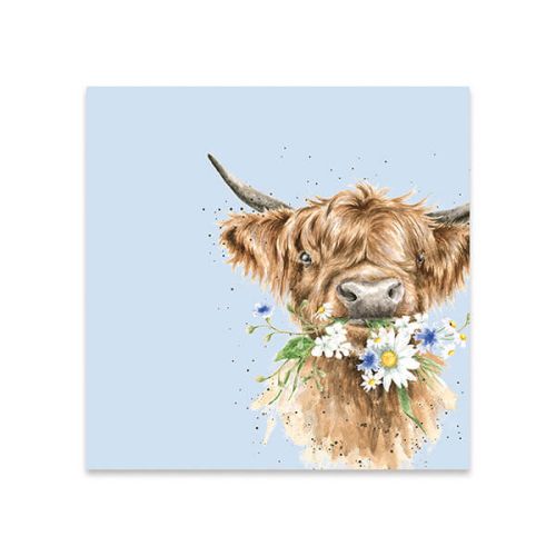 Napkin - Highland Cow - Daisy Coo - K049 