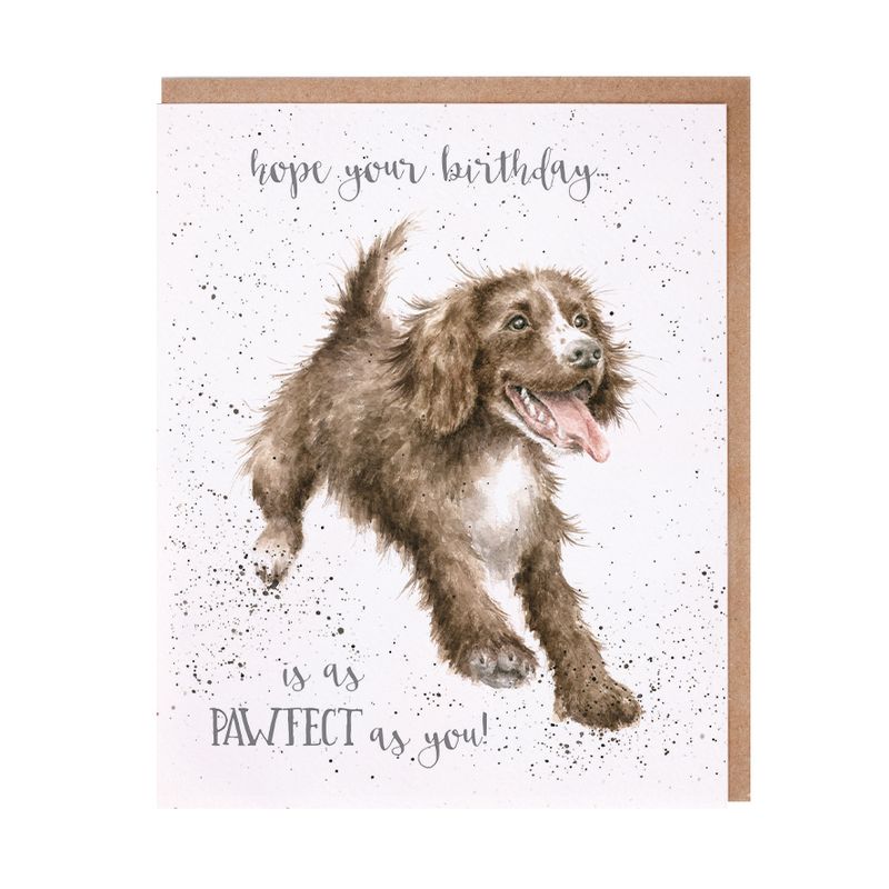 Card - AOC036 - Pawfect Birthday - Spaniel Dog 