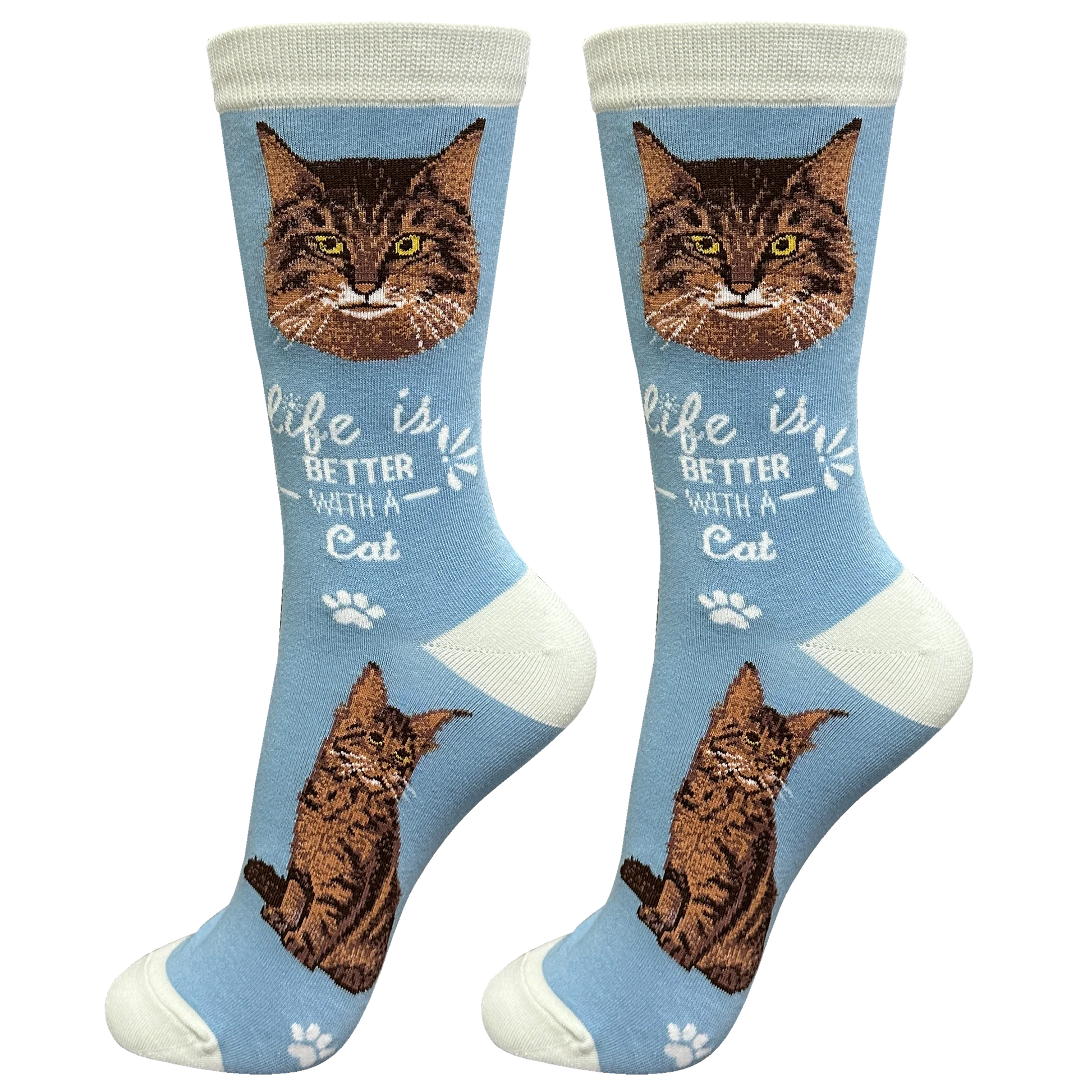 Socks Maine Coon Cat  841-6 