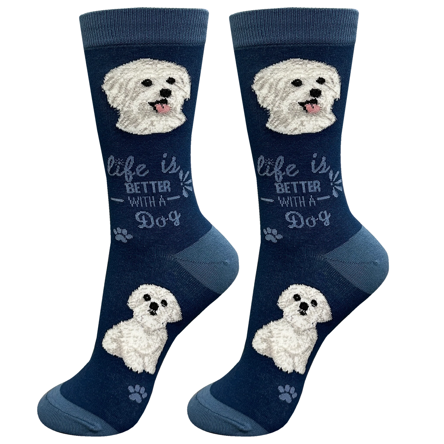 Socks  Maltese Dog  840-24 