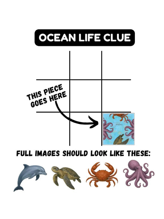 Squizzle Ocean Life 1048