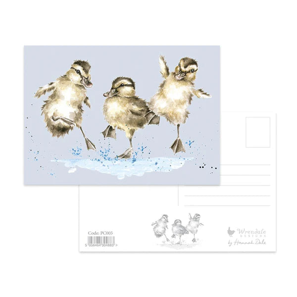 Post Card Puddle Ducks 4x6" Pc005