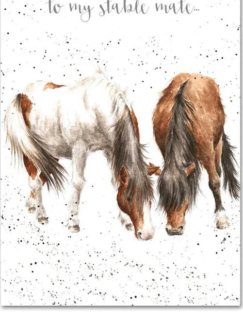 Card Aoc024&nbsp; Stable Mates You're The Best