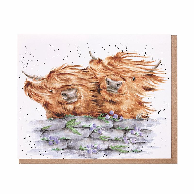 Card - ACS198 Blown Away - Highland Cows 