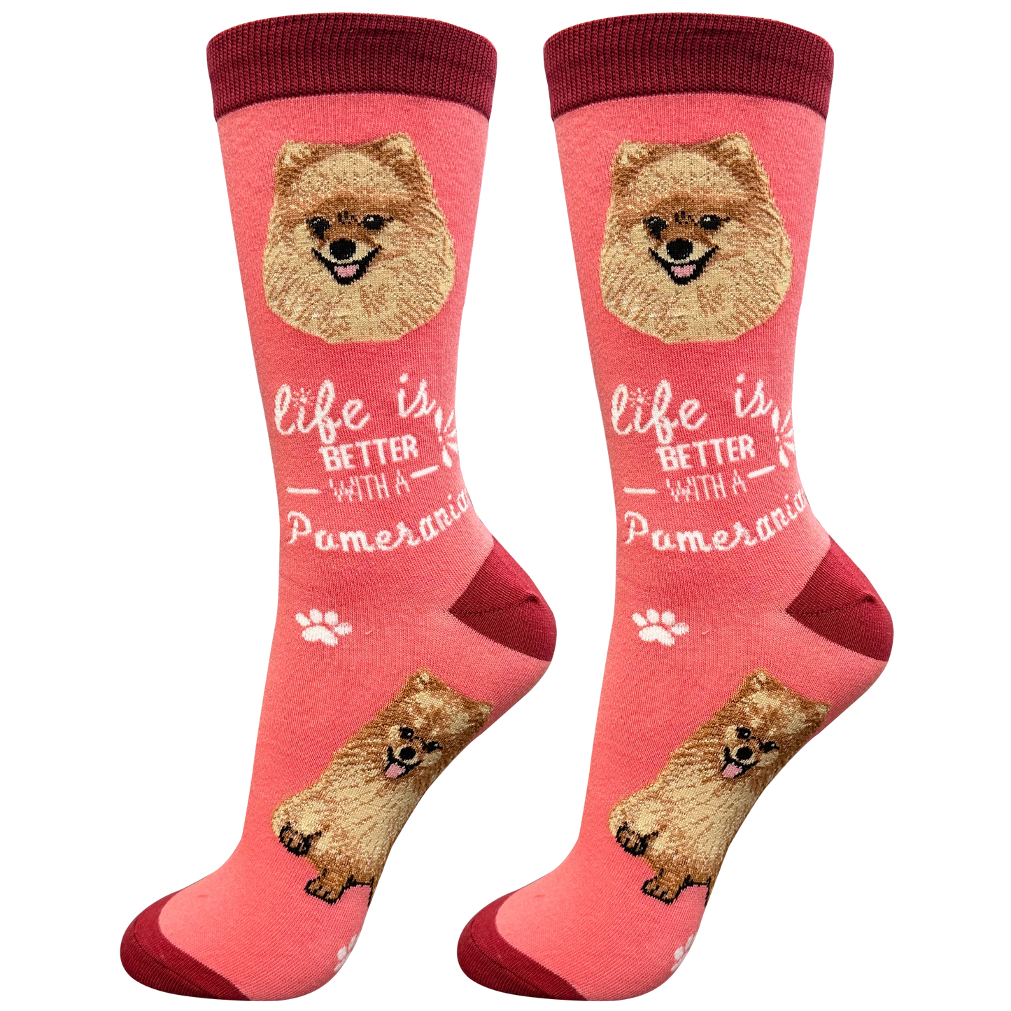 Socks  Pomeranian Dog  840-27 