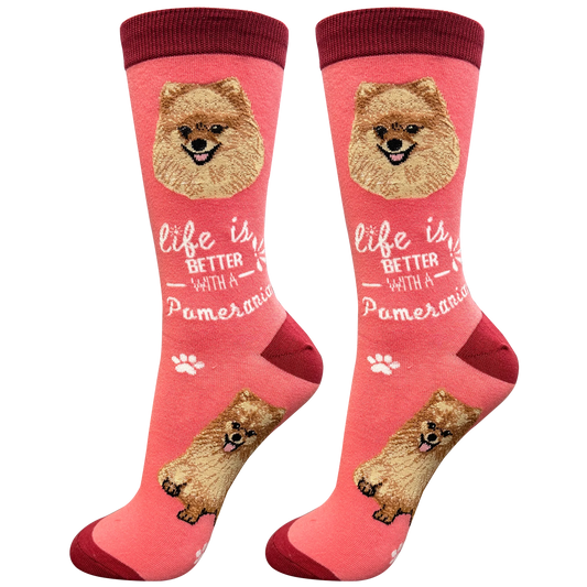 Socks  Pomeranian Dog  840-27 