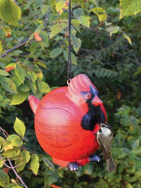  Bird House&nbsp;Gord-o-Cardinal Red Se3880059