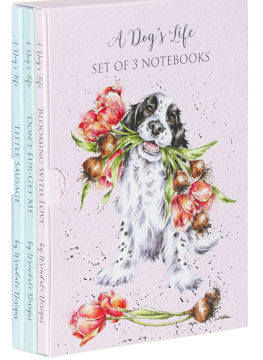 Notebook Set - 3 pc. - A Dog's Life 