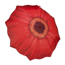 Umbrella - Folding - Red Daisy - 33041SC 