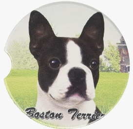 Car Coaster  Boston Terrier Dog          231-76 