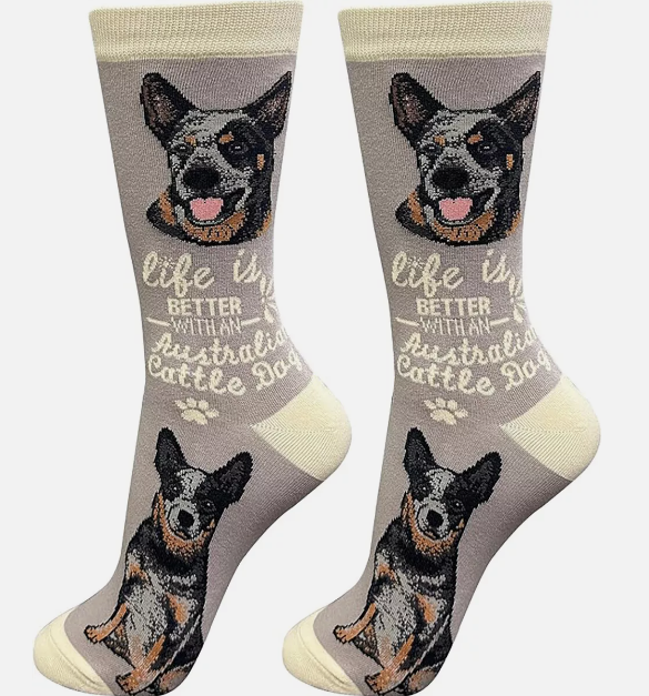 Socks  Austrailian Cattle Dog     840-90 