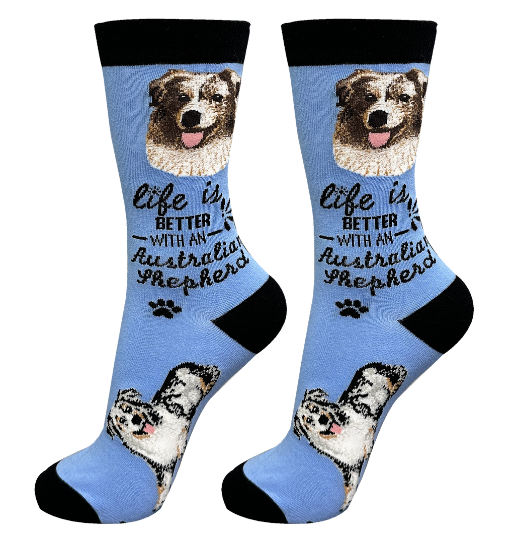 Socks  Australian Shepherd Dog     840-54 