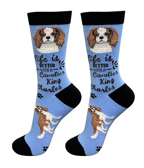 Socks  Cavalier King Charles     840-18 