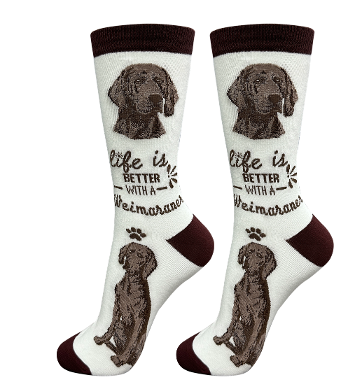 Socks  Weimaraner Dog             840-54 