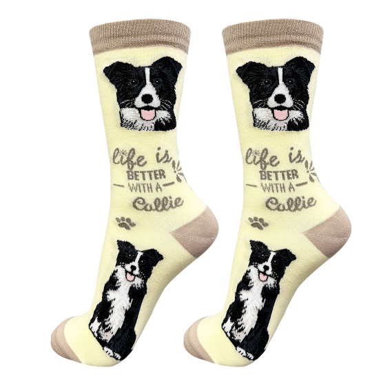 Socks  Border Collie Dog       840-5 