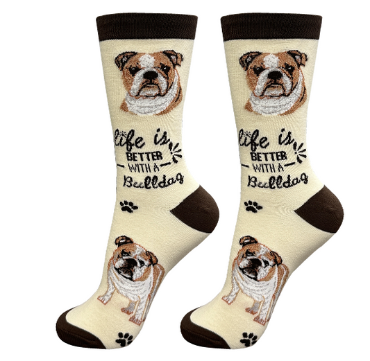 Socks  Bulldog Dog             840-8 