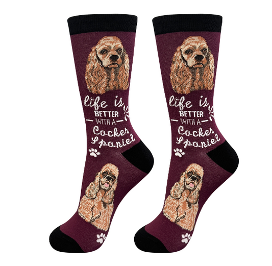 Socks  Cocker Spaniel Dog             840-78 