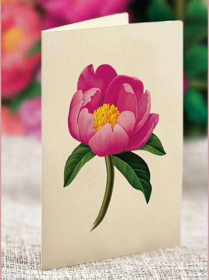 Flower's Boutique Paper Cards  Popup Peony Paradise  3733 