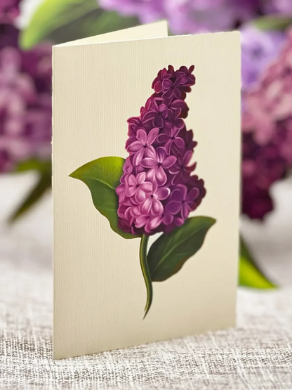 Flower's Boutique Paper Cards  Popup Garden Lilacs   3726 