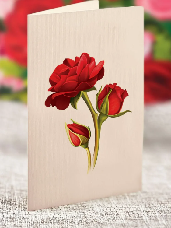 Flower's Boutique Paper Cards  Popup Blooming Roses  3739 