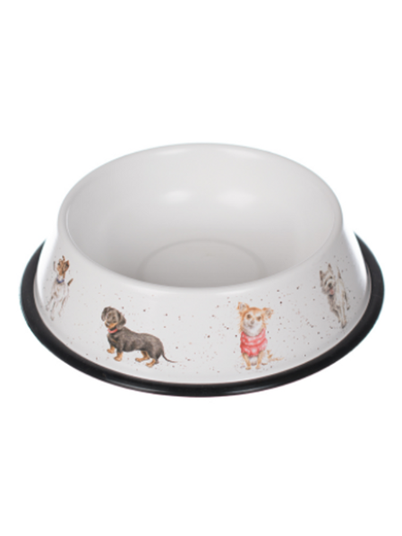 Dog Bowl 
