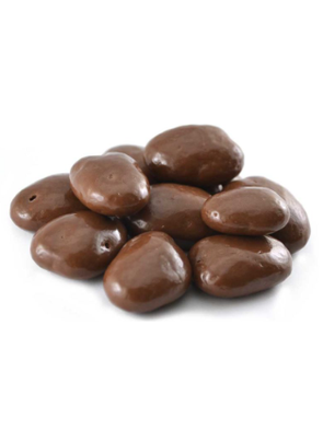 Chocolate Pecans 3.5 oz G195
