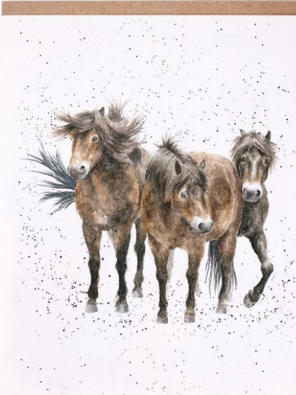 Card - ACS113 - The Three Amigos Horses - Blank Inside