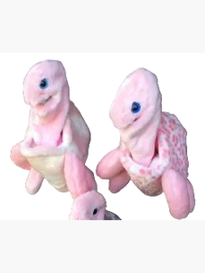 Puppet Turtle