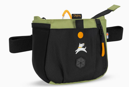 Olly Dog Backcountry Day Bag Palm 14456