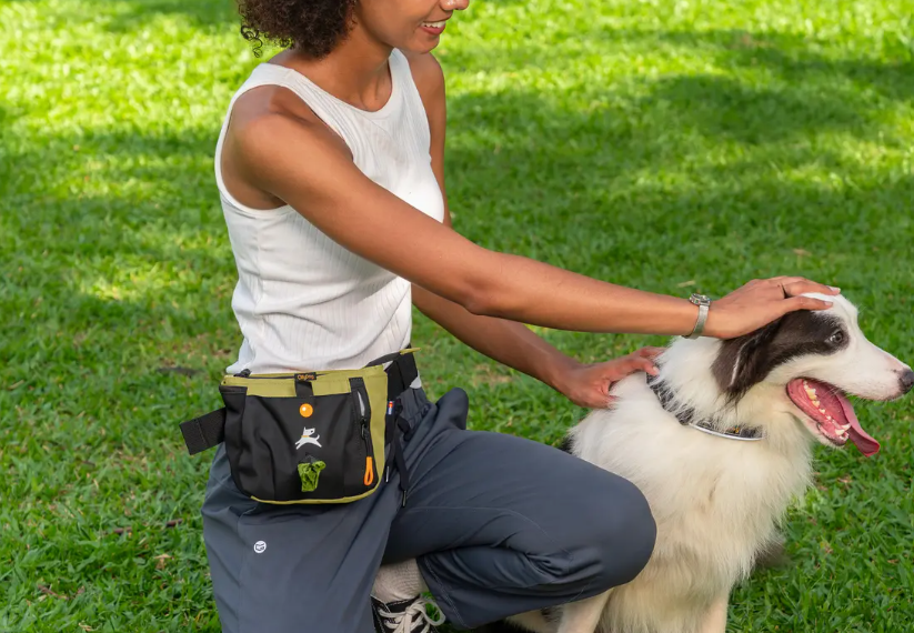 Olly Dog Backcountry Day Bag Palm 14456