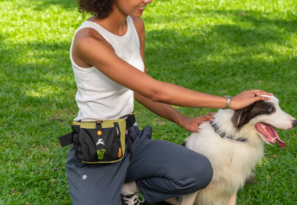 Olly Dog Backcountry Day Bag Palm 14456