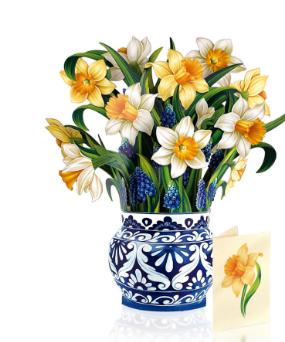 Flower's Boutique Paper Cards  Popup English Daffodils   3703 Classic