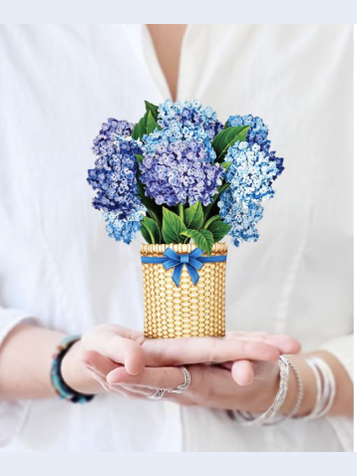 Flower's Boutique Paper Cards Pop Up 6" Nantucket Hydrangeas  7405   Mini