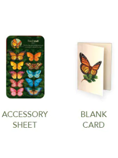 Flower's Boutique Paper Cards  Popup Butterflies & Buttercups 3720 Classic
