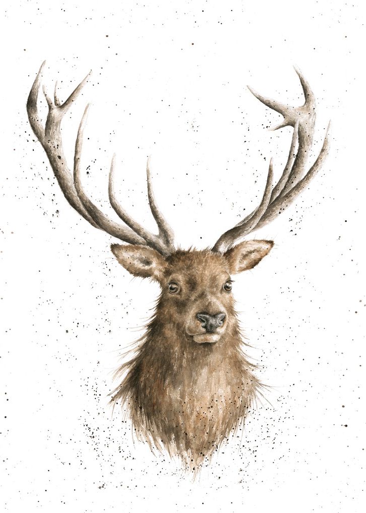 Card - ACS087 - Portrait Stag Deer - Blank Inside 