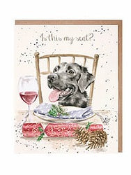 Christmas Card Is This My Seat Ax074 