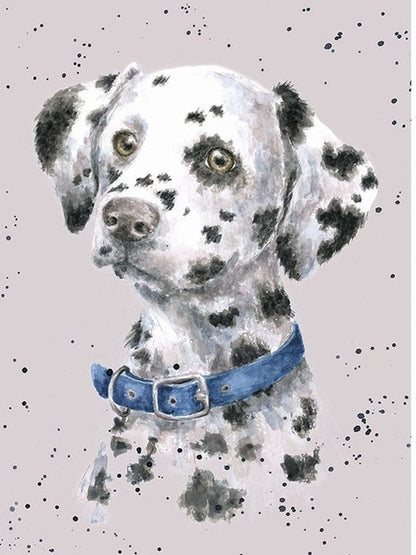 Card - ADR034 - Dalmation Puppy dog - Blank Inside 