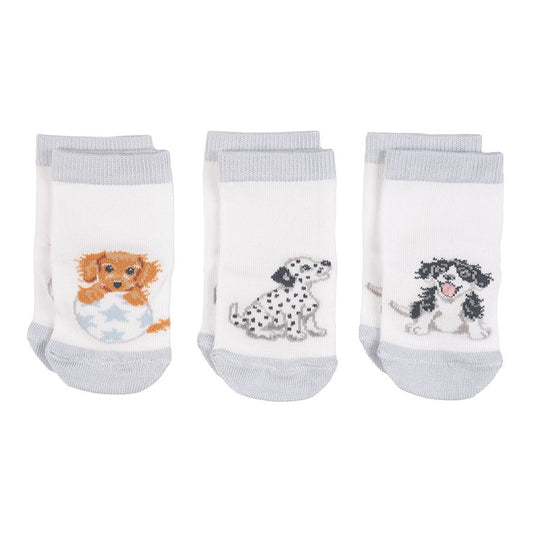 Baby Sock Gift Set - LTW-SOCK003 - Little Paws (0-6 mos) 