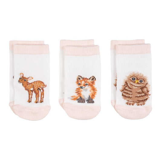 Baby Sock Gift Set - LTW-SOCK002 - Little Forest (6-12 mos) 