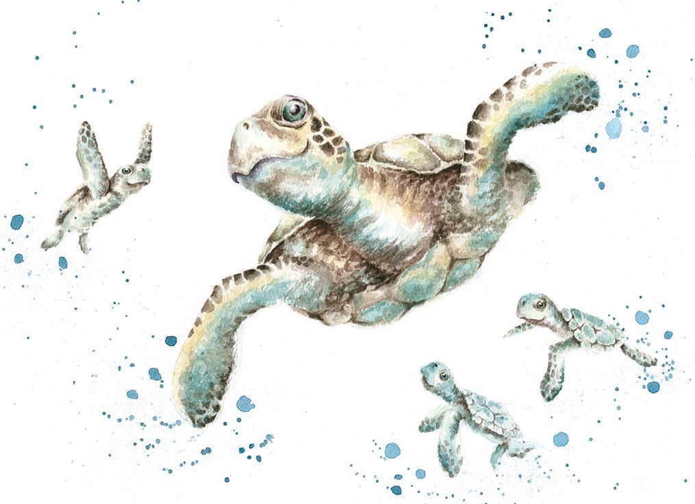 Card - AZ031 - Sea Turtles swimming - blank inside 