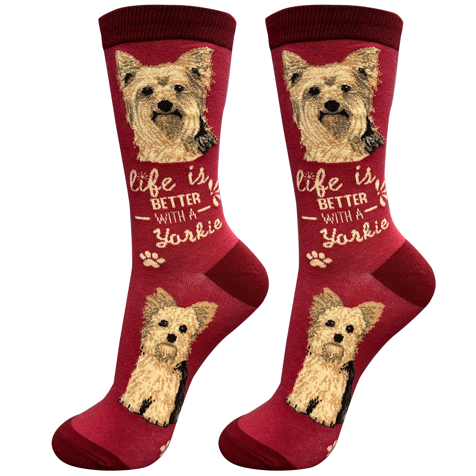 Socks  Yorkie Dog  840-46 