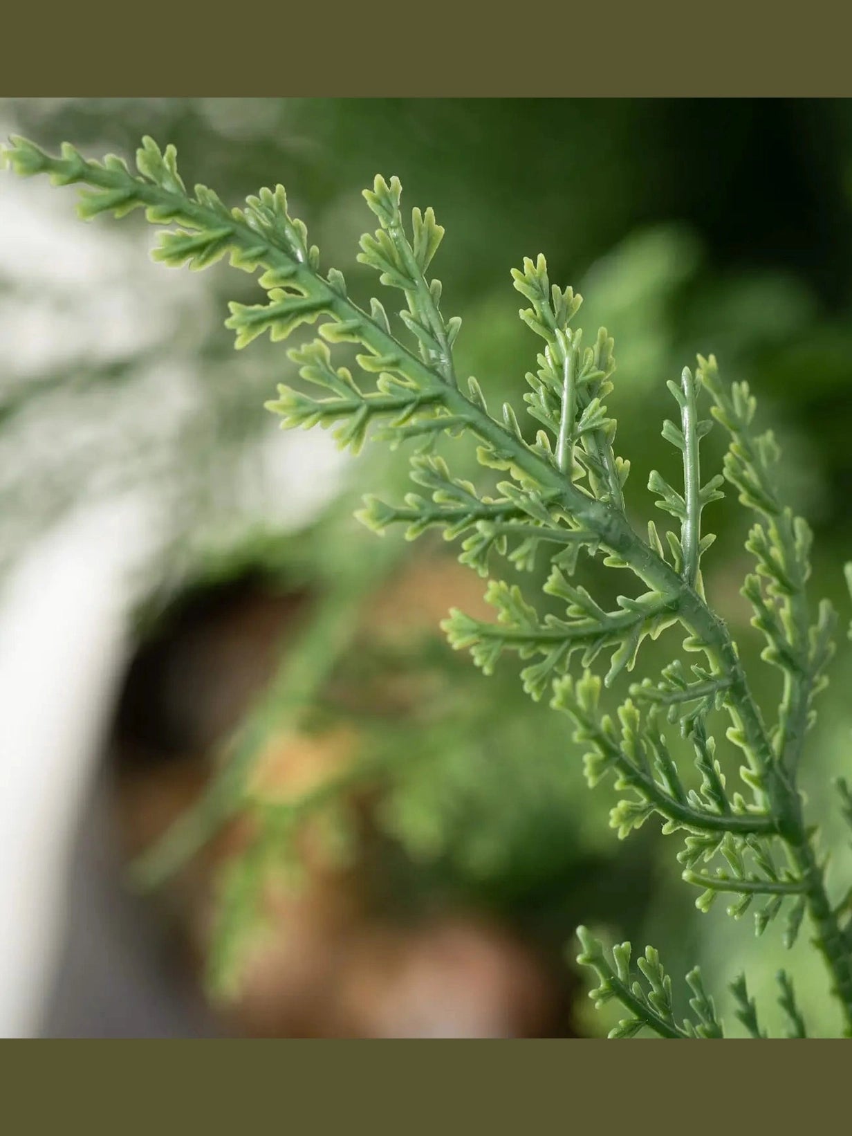 Cedar Tree Potted Plastic TR1285