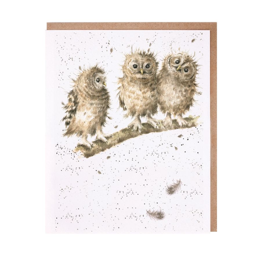 Card - ACS058 YOU FIRST BIRD OWL  blank 