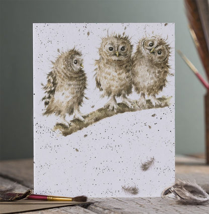 Card - ACS058 YOU FIRST BIRD OWL  blank 