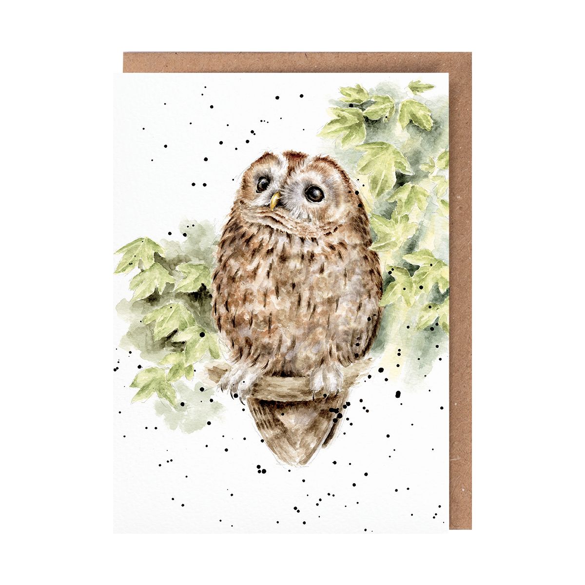 Card Acs212 Treetops Owl 