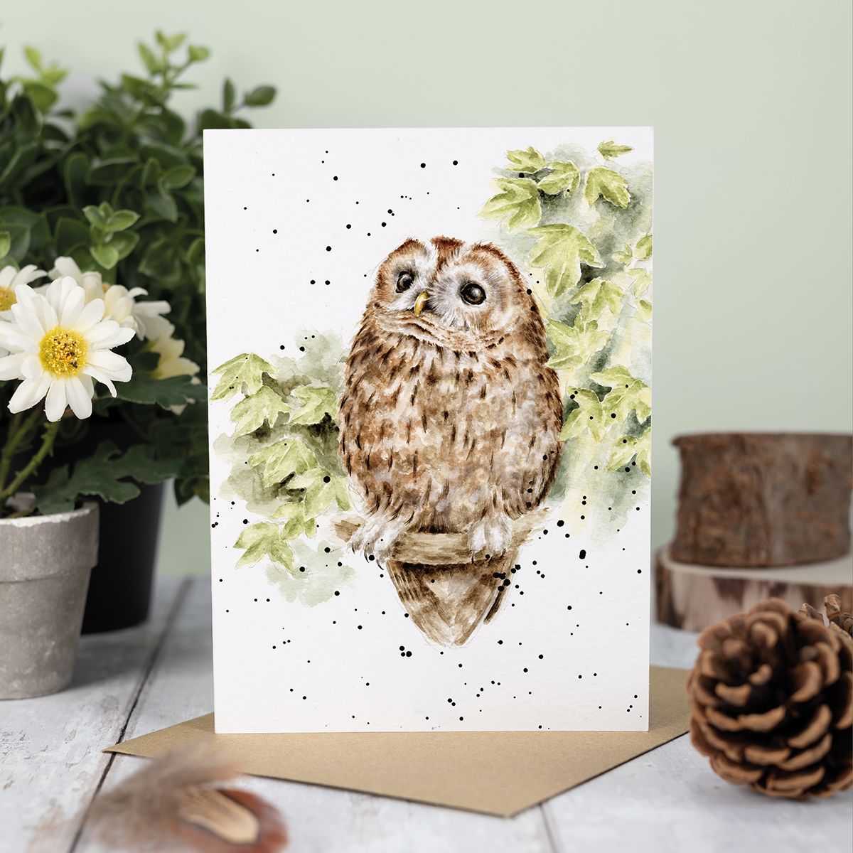 Card Acs212 Treetops Owl 